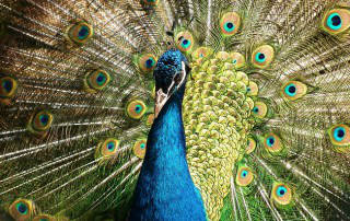 Valor empresa valor patrimonial | Valoraccion