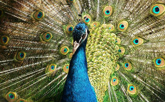 Valor empresa valor patrimonial | Valoraccion