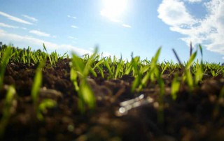 Innovación y Corporate venturing | Valoraccion